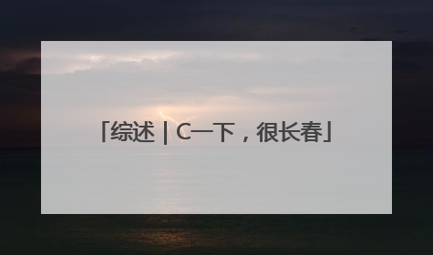 综述｜C一下，很长春