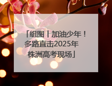 组图丨加油少年！多路直击2025年株洲高考现场