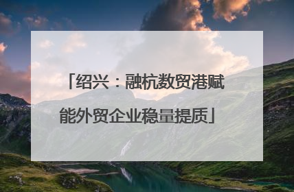 绍兴：融杭数贸港赋能外贸企业稳量提质