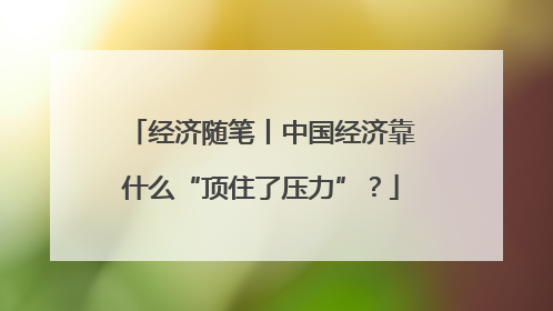 经济随笔丨中国经济靠什么“顶住了压力”？