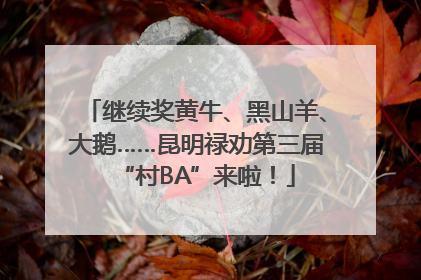 继续奖黄牛、黑山羊、大鹅……昆明禄劝第三届“村BA”来啦！
