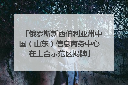 俄罗斯新西伯利亚州中国(山东)信息商务中心在上合示范区揭牌