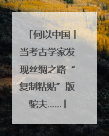 何以中国丨当考古学家发现丝绸之路“复制粘贴”版驼夫……
