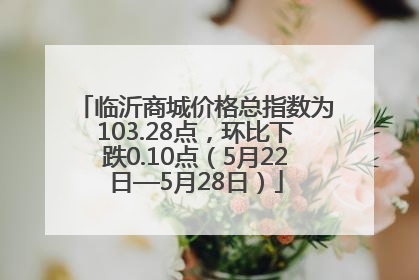 临沂商城价格总指数为103.28点，环比下跌0.10点（5月22日—5月28日）
