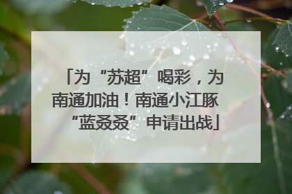 为“苏超”喝彩，为南通加油！南通小江豚“蓝叒叒”申请出战