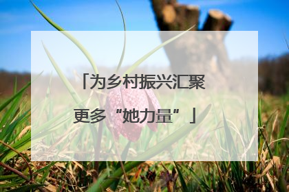 为乡村振兴汇聚更多“她力量”