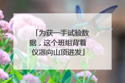 为获一手试验数据，这个班组背着仪器向山顶进发