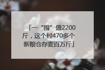 一“囤”盛2200斤，这个村470多个新粮仓存麦百万斤
