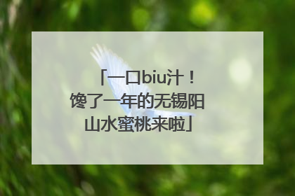 一口biu汁！馋了一年的无锡阳山水蜜桃来啦