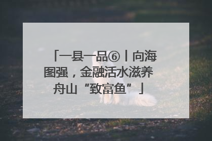 一县一品⑥丨向海图强，金融活水滋养舟山“致富鱼”