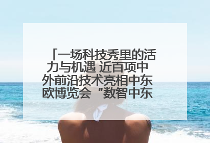 一场科技秀里的活力与机遇 近百项中外前沿技术亮相中东欧博览会“数智中东欧”板块