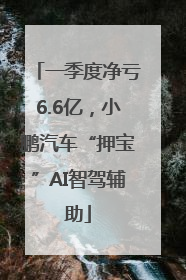一季度净亏6.6亿，小鹏汽车“押宝”AI智驾辅助