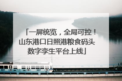 一屏统览，全局可控！山东港口日照港粮食码头数字孪生平台上线
