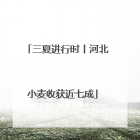 三夏进行时丨河北小麦收获近七成