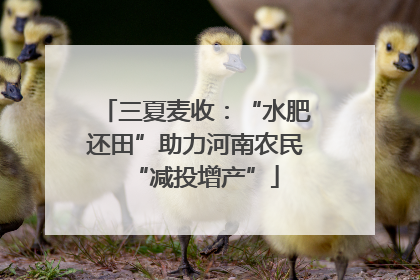 三夏麦收：“水肥还田”助力河南农民“减投增产”