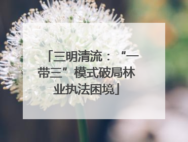 三明清流：“一带三”模式破局林业执法困境