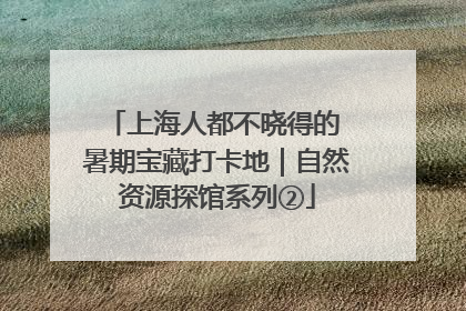 上海人都不晓得的 暑期宝藏打卡地｜自然资源探馆系列②