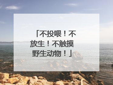 不投喂！不放生！不触摸野生动物！