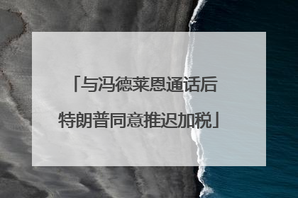 与冯德莱恩通话后 特朗普同意推迟加税