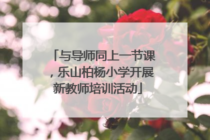 与导师同上一节课，乐山柏杨小学开展新教师培训活动