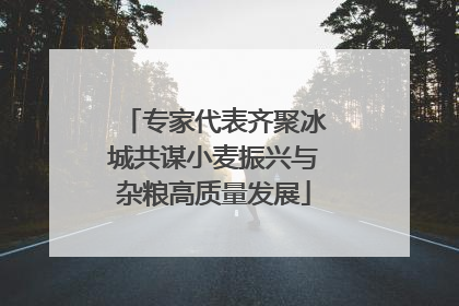 专家代表齐聚冰城共谋小麦振兴与杂粮高质量发展