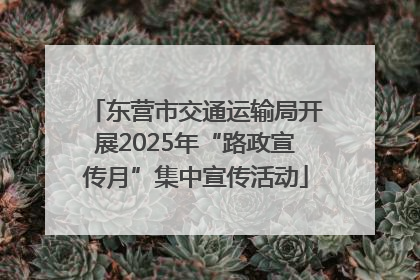 东营市交通运输局开展2025年“路政宣传月”集中宣传活动
