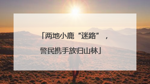 两地小鹿“迷路”，警民携手放归山林