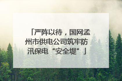 严阵以待，国网孟州市供电公司筑牢防汛保电“安全堤”