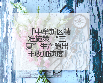 中牟新区精准施策 “三夏”生产跑出丰收加速度