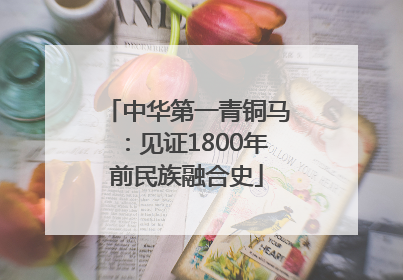 中华第一青铜马：见证1800年前民族融合史