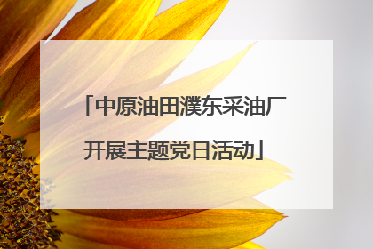 中原油田濮东采油厂开展主题党日活动