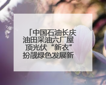 中国石油长庆油田采油六厂屋顶光伏“新衣”扮靓绿色发展新画卷