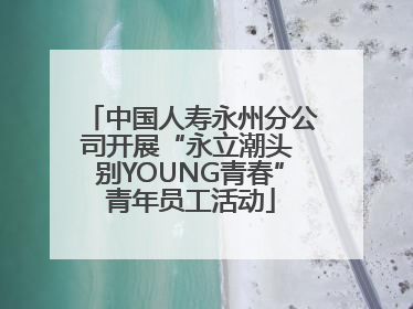 中国人寿永州分公司开展“永立潮头 别YOUNG青春”青年员工活动