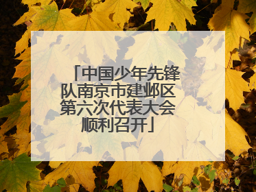 中国少年先锋队南京市建邺区第六次代表大会顺利召开