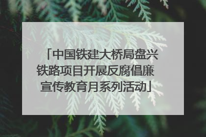 中国铁建大桥局盘兴铁路项目开展反腐倡廉宣传教育月系列活动