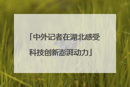 中外记者在湖北感受科技创新澎湃动力