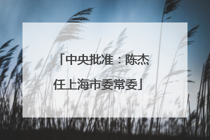 中央批准：陈杰任上海市委常委