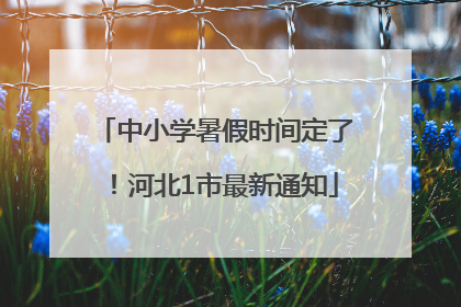 中小学暑假时间定了！河北1市最新通知