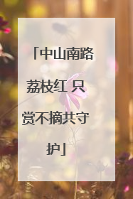 中山南路荔枝红 只赏不摘共守护