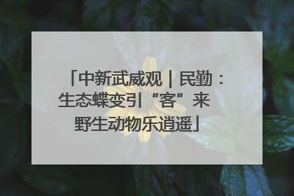 中新武威观｜民勤：生态蝶变引“客”来 野生动物乐逍遥