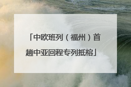 中欧班列（福州）首趟中亚回程专列抵榕