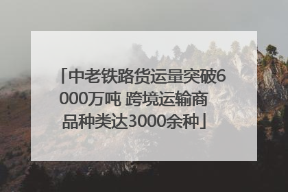 中老铁路货运量突破6000万吨 跨境运输商品种类达3000余种