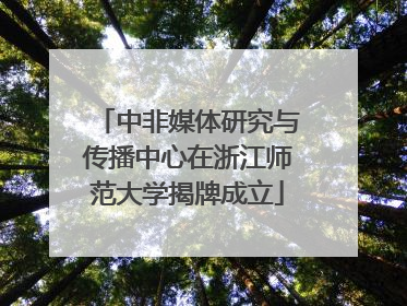中非媒体研究与传播中心在浙江师范大学揭牌成立