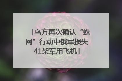 乌方再次确认“蛛网”行动中俄军损失41架军用飞机