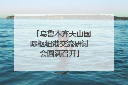 乌鲁木齐天山国际枢纽港交流研讨会圆满召开