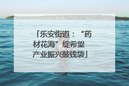 乐安街道：“药材花海”绽希望 产业振兴鼓钱袋