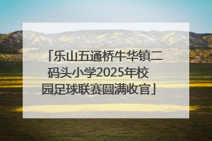 乐山五通桥牛华镇二码头小学2025年校园足球联赛圆满收官