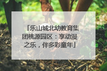 乐山城北幼教育集团桃源园区：享动漫之乐，伴多彩童年