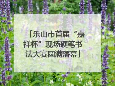乐山市首届“嘉祥杯”现场硬笔书法大赛圆满落幕