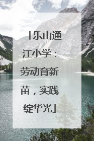 乐山通江小学：劳动育新苗，实践绽华光